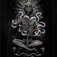 Rift mp3 Album by Amphisbaena