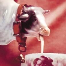 Zahn mp3 Album by Zahn