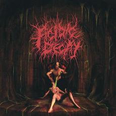 Acidic Decay mp3 Album by Acidic Decay