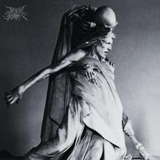 Isle of the Dead mp3 Album by Bronze Homme