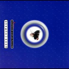 Guilty On All Accounts (Rust 5) mp3 Album by Good Courage