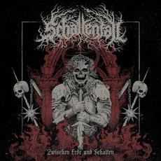 Zwischen Erde und Schatten mp3 Album by Schattenfall