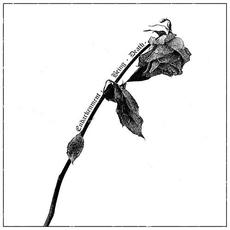 Endarkenment, Being & Death mp3 Album by Speglas