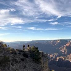 The Hands and Feet Turn Blue mp3 Album by Peaer