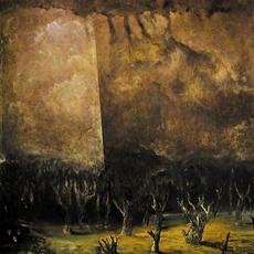 Vacuum Coeli mp3 Album by Tenebrae in Perpetuum