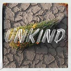 Unkind (Radio Edit) mp3 Single by Bird Streets