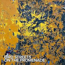 On the Promenade mp3 Single by Bird Streets