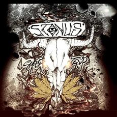 Supertrip mp3 Album by Stonus