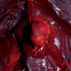 Not Here Not Gone mp3 Album by Blackwater Holylight