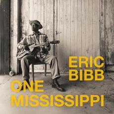 One Mississippi mp3 Album by Eric Bibb