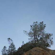 Telecommunications mp3 Album by Patricia Taxxon