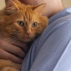 Arbuckle mp3 Album by Patricia Taxxon