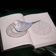 Extreme Suffering mp3 Album by Omnihell