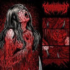 Miyoko Akabane: Onryo no shinka mp3 Album by Terminal Decay