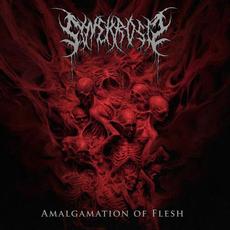Amalgamation of Flesh mp3 Album by Synekrosis