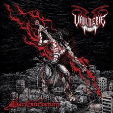 Sanguinoctum mp3 Album by Vaulderie