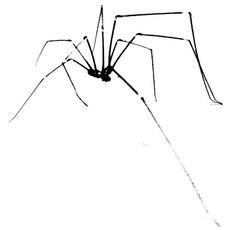 Black and White mp3 Album by Patricia Taxxon