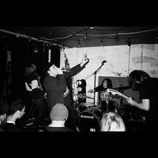 Provisional Living mp3 Album by Terry Green