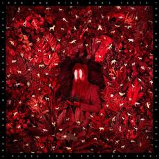 Hen's Teeth mp3 Album by Iron & Wine