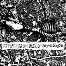 Hex Noise Wall mp3 Compilation by Various Artists