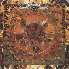 Need for Not mp3 Album by Levitation