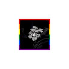 Pride mp3 Album by Violet Cold