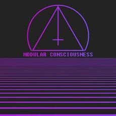 Modular Consciousness mp3 Album by Violet Cold