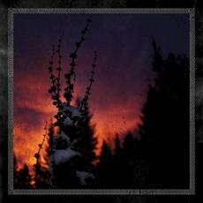 Nocturnal Womb mp3 Album by BlackBraid