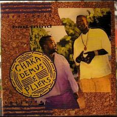 Bad Mind mp3 Album by Chaka Demus & Pliers
