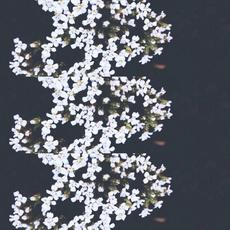 Ocho mp3 Live by Julian Williams