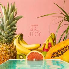Big Juicy mp3 Album by Regressor