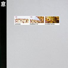 Firebloom mp3 Album by Converter