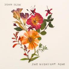 The Midnight Ache mp3 Album by John Blek