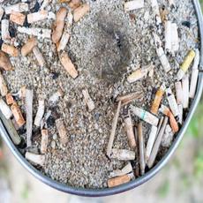 Tote Joins mp3 Album by Quest