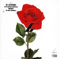 Weil Du Mich Liebst? mp3 Single by Julian Williams