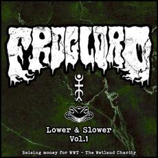Lower & Slower - Vol.1 mp3 Album by Froglord