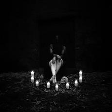 Abysm of Time mp3 Album by Soul Meanders