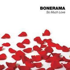 So Much Love mp3 Album by Bonerama