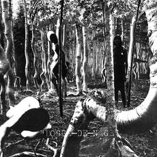 Bosse-de-Nage mp3 Album by Bosse-de-Nage