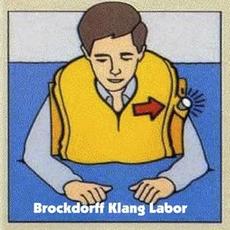 Die fruhen Jahre mp3 Album by Brockdorff Klang Labor