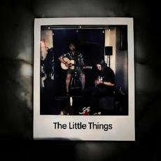 The Little Things mp3 Album by Hazy Conditions