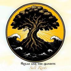 Salt Roots mp3 Album by Willie and the Bandits