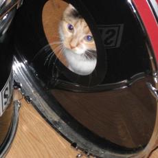 April Fool's Day mp3 Album by Old Man Winther