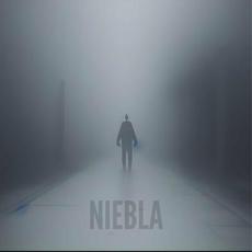Niebla mp3 Single by Pesadilla Gris