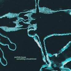 Something I Should Know mp3 Single by Particle House