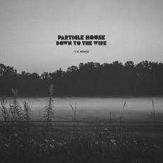 Down to the Wire mp3 Single by Particle House