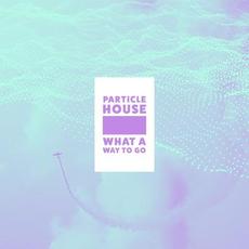 What a Way to Go mp3 Single by Particle House