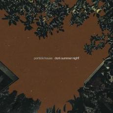 Dark Summer Night mp3 Single by Particle House