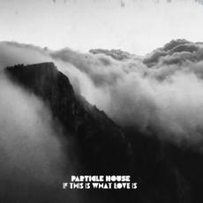 If This Is What Love Is mp3 Single by Particle House