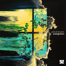 Overgrown mp3 Album by Pola & Bryson